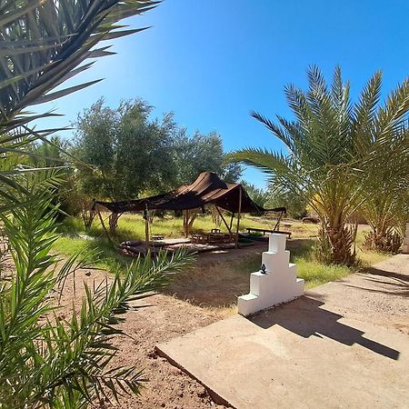 Jardin Du Desert Мхамід Екстер'єр фото