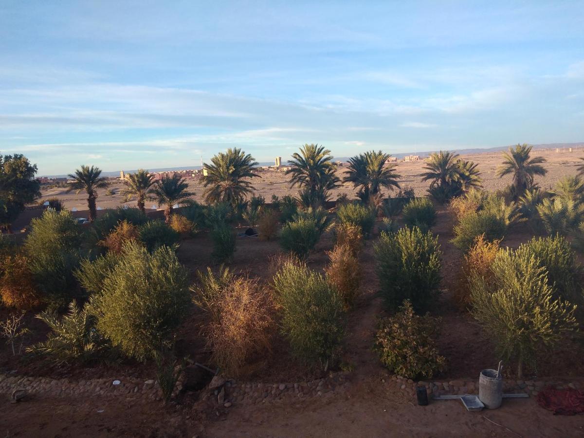 Jardin Du Desert Мхамід Екстер'єр фото